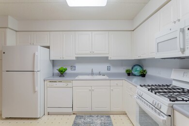 Eagle Point Condominiumns unit 202, Niles, IL 60714 - photo 4