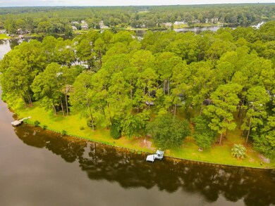 87 Lake Point Ln, Thomasville, GA 31757 - photo 2