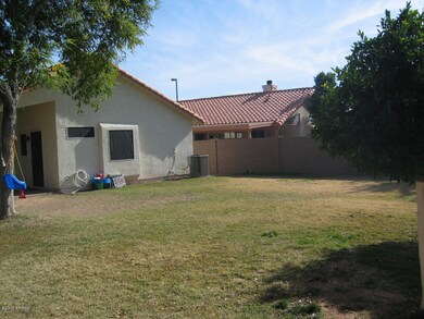 Backyard 1