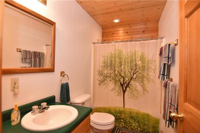 W14804 Hungry Lake Rd, Chetek, WI 54728 - photo 6