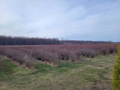 0 72nd St unit 25012219, Covert, MI 49043 - photo 6