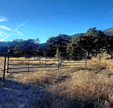 1094 & 1343 Valley View Rd, South Fork, CO 81154 - photo 5