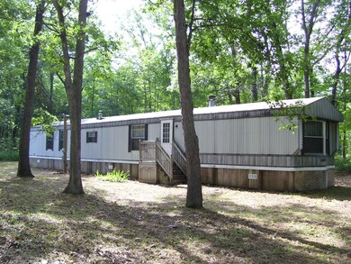 2346 W Oakwood Blvd, Bitely, MI 49309 - photo 2