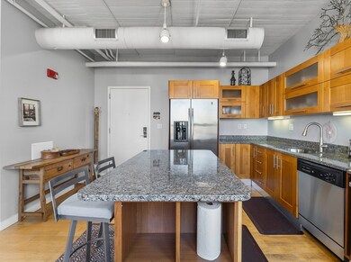 Boston Loft Condos unit 111, Boston, MA 02111 - photo 4