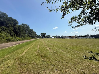 1194 U S Hwy 82-Parcel B, Georgetown, GA 39854 - photo 6