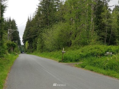 21 xxx Lake Riley Rd, Arlington, WA 98223 - photo 2