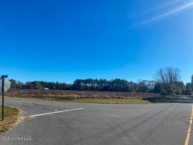 5.25 Ac Sally Parker Rd, Lucedale, MS 39452 - photo 6