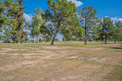 18645 N Conestoga Dr, Sun City, AZ 85373 - photo 5