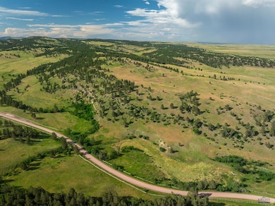 TBD Cobb Rd, Custer, SD 57730 - photo 4