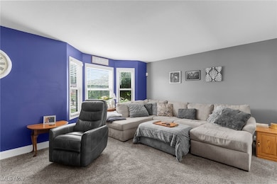 3481 Forty Second St, Canfield, OH 44406 - photo 6