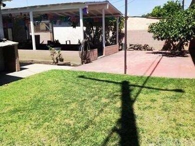 Yard & Patio