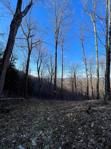 00 Borough Rd, Charlestown, NH 03603 - photo 5