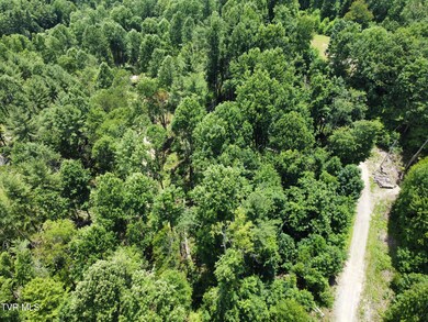 dji_fly_20250627_131654_73_1751044805421