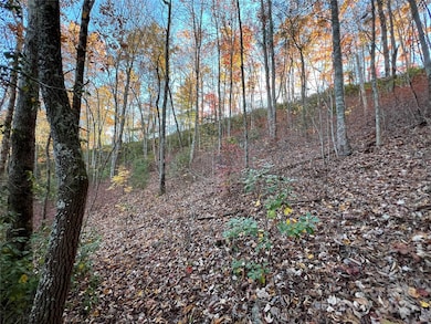 Lot 66 Musket Dr, Almond, NC 28713 - photo 6