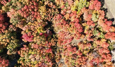 3597 S Mountain Meadows Dr unit 15, Franklin, ID 83237 - photo 3