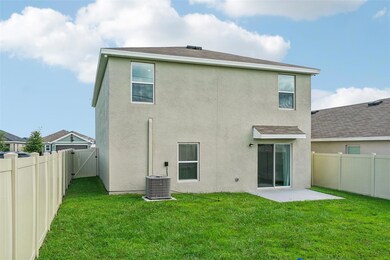 11637 Saw Palmetto Ln, Riverview, FL 33569 - photo 5