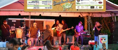 21657 Frame Square, Broadlands, VA 20148 - photo 4