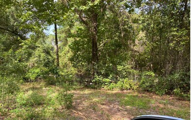 2485 Chapple Ln, Lake City, FL 32055 - photo 4