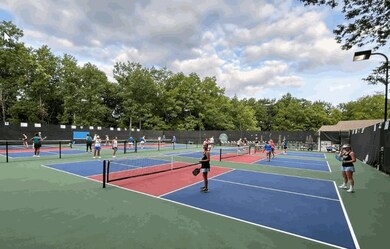 Pickleball courts