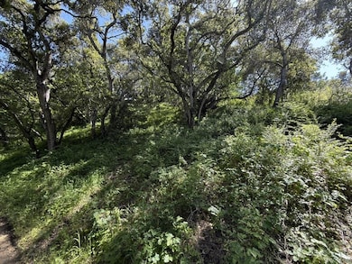 0 Bartlett Way unit ML82003351, Belmont, CA 94002 - photo 2