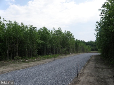 Lot C - 133-9.00-9.1 Easement Off of Shortly Rd, Georgetown, DE 19947 - photo 3