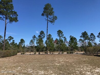 1388 Cross Water Cir, Leland, NC 28451 - photo 2