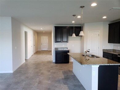 18633 Hunters Meadow Walk, Land O' Lakes, FL 34638 - photo 4