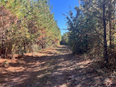 Henry Co Rd 46, Shorterville, AL 36373 - photo 2