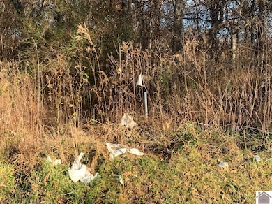 000 Gholson Rd, West Paducah, KY 42086 - photo 4