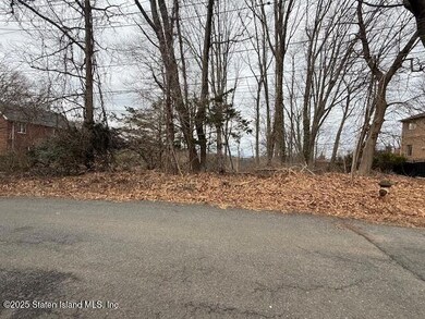 25 Coverly Ave, Staten Island, NY 10301 - photo 5