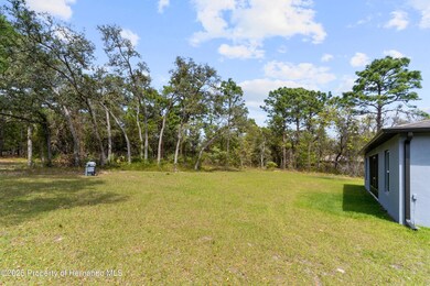 12201 back yard 4