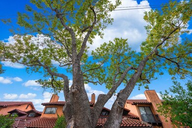 1123 Lois St, Kerrville, TX 78028 - photo 4