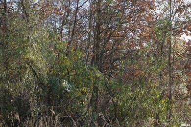 00 Lazy Acre Rd, Salem, IL 62881 - photo 7