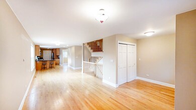 635 W 48th St, Chicago, IL 60609 - photo 4