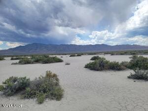 APN 074-431-51, Reno, NV 89510 - photo 5