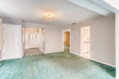 4729 River Dr, Lisle, IL 60532 - photo 7