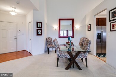 7210 Darby Downs unit P, Elkridge, MD 21075 - photo 7