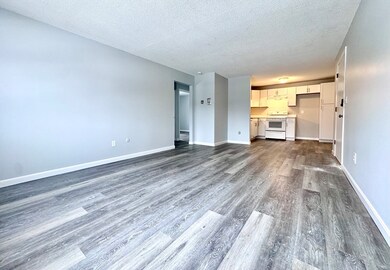 128 North St unit 4, Newton, MA 02460 - photo 5