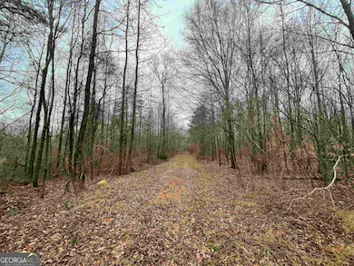 0 Holiness Campground Rd unit 10648171, Cleveland, GA 30528 - photo 7