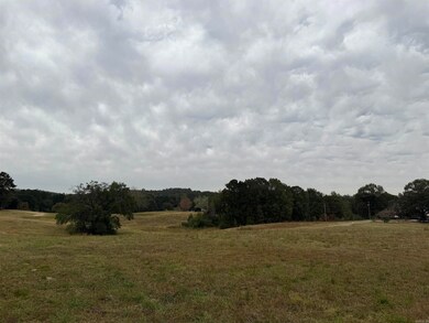 000 Lee Cove, Bryant, AR 72103 - photo 7