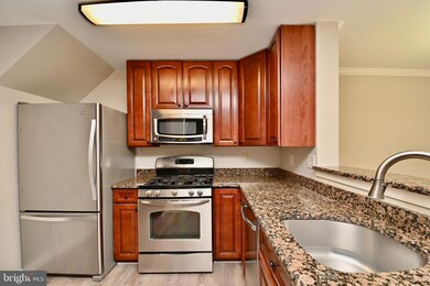 1061 Gardenview Loop unit 303, Woodbridge, VA 22191 - photo 6