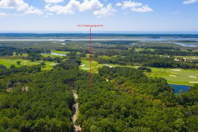4117 Nesting Egret Dr, Johns Island, SC 29455 - photo 4