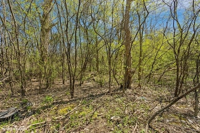 1630 Myrtle Park St, Roselle, IL 60172 - photo 3