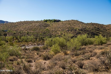 Natural Desert Landscape