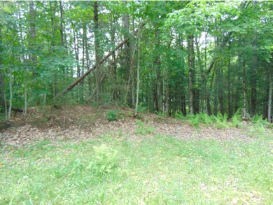 - Sullivan Dr, Stewartstown, NH 03597 - photo 3