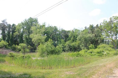 2722 Twin Oaks Dr, Milford Township, MI 48381 - photo 5