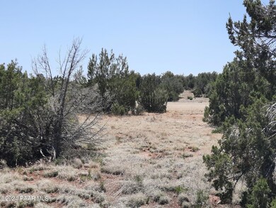 56673 N La Carro Ln, Seligman, AZ 86337 - photo 5