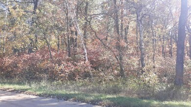 Lot 19 Block 13 285th Ave, Fawn Lake Township, MN 56438 - photo 6