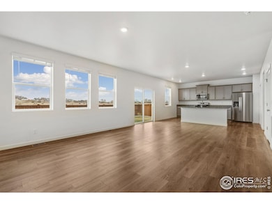 5978 Amerifax Dr, Windsor, CO 80528 - photo 7