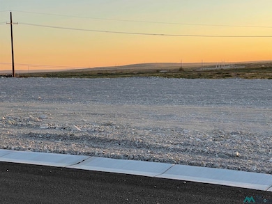 1632 Skyline, Carlsbad, NM 88220 - photo 2